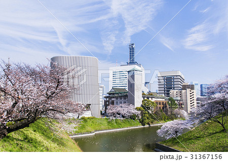 桜の千鳥ヶ淵 31367156