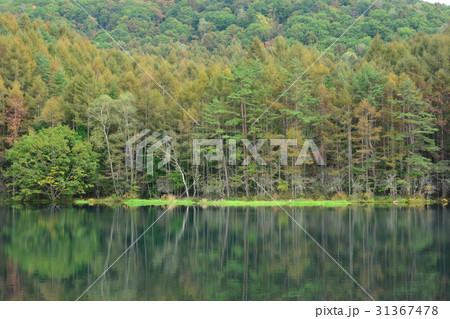 御射鹿池 御射鹿池 31367478