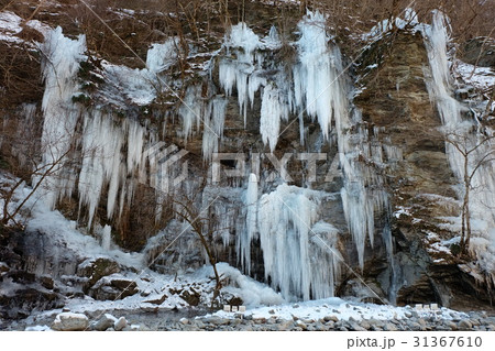 三十槌の氷柱 31367610