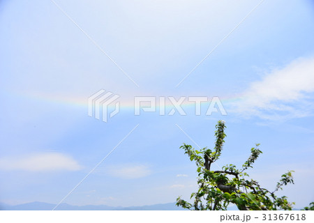 環水平アーク 環水平アーク 31367618