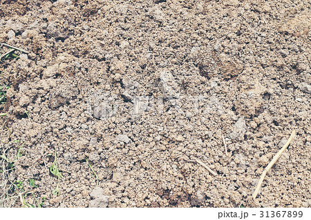 Soil texture background. Soil texture background. 31367899