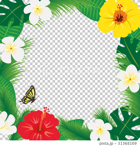 熱帶框架材料 31368109