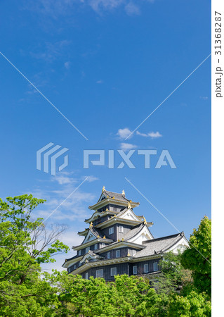 岡山_新緑に映える岡山城 岡山_新緑に映える岡山城 31368287