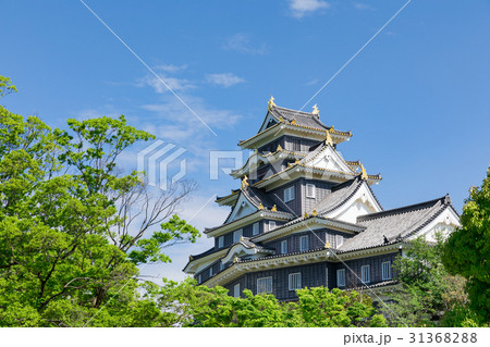 岡山_新緑に映える岡山城 岡山_新緑に映える岡山城 31368288