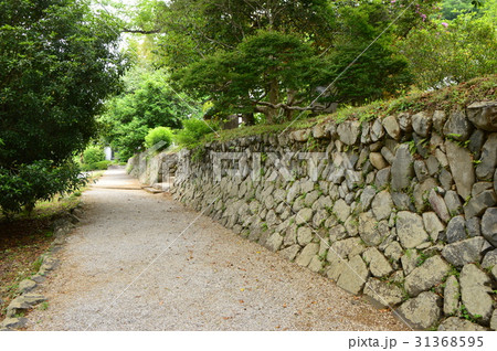 浄福寺の初夏は　八王子市 31368595