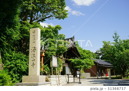 京都・海住山寺・入り口 31368737