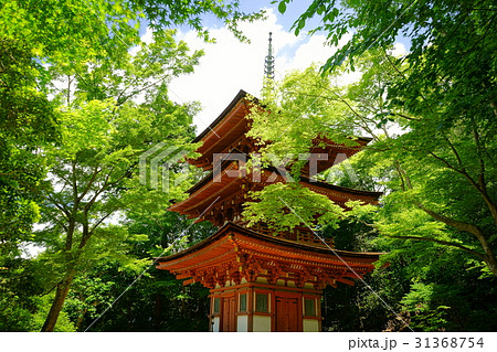 浄瑠璃寺・三重塔と青もみじ３ 31368754