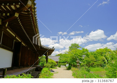 初夏の浄瑠璃寺境内４ 31368767