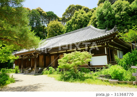 初夏の浄瑠璃寺本堂2 初夏の浄瑠璃寺本堂2 31368770