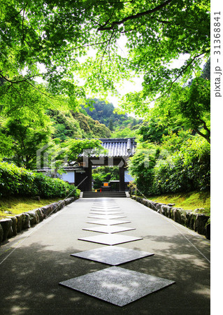 南禅寺 最勝院高徳庵 南禅寺 最勝院高徳庵 31368841