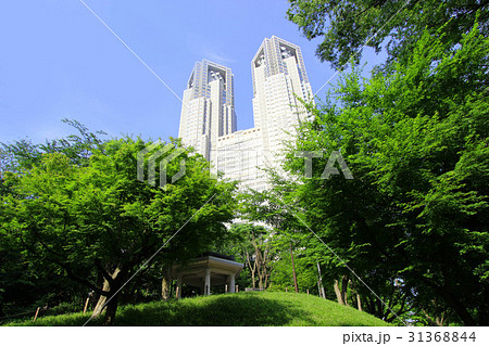 新宿中央公園 31368844