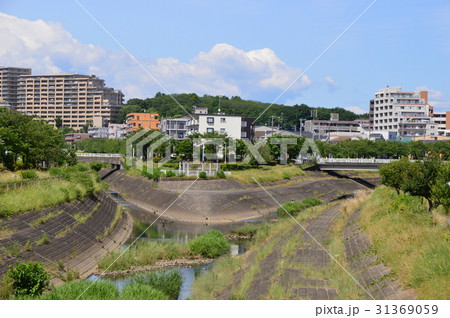 大栗川の初夏はこんな感じ　八王子市 31369059