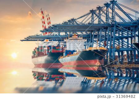 Container Cargo freight shipping by crane Logistic Container Cargo freight shipping by crane Logistic 31369482