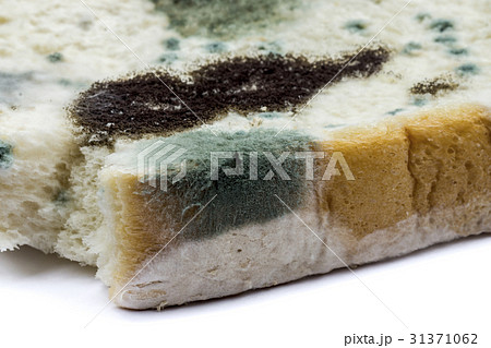 Macro picture of Mold on the bread. 31371062