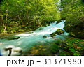 奥入瀬渓流 31371980