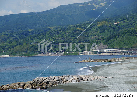 小田原 御幸の浜海岸 31372238