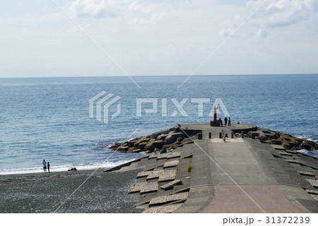 小田原 御幸の浜海岸 31372239