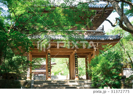 功山寺 山門 功山寺 山門 31372775