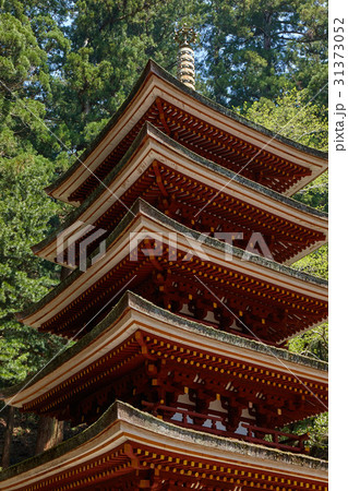 室生寺、五重塔 室生寺、五重塔 31373052