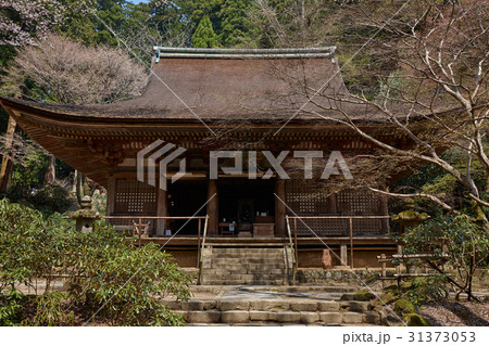室生寺、本堂 室生寺、本堂 31373053