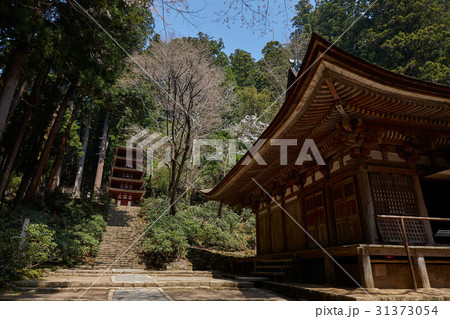 室生寺、本堂と五重塔 31373054