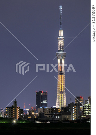 東京スカイツリー 特別ライトアップ「幟」 東京スカイツリー 特別ライトアップ「幟」 31373097