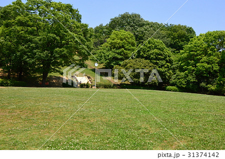 久保山公園の初夏はこんな感じ　八王子市 31374142