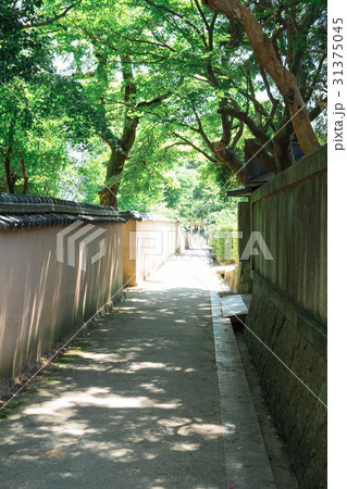 長府の街並み　横枕小路 31375045