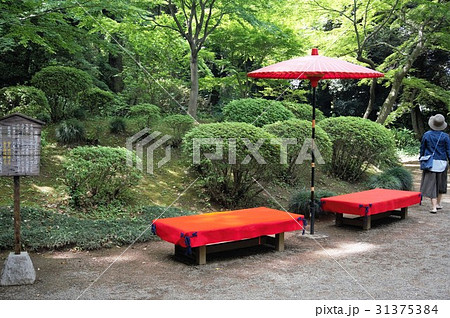 特別名勝「六義園」休憩所 31375384