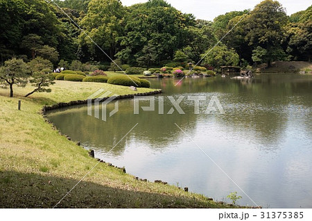 東京都立公園 駒込　回遊式庭園「六義園」 出汐湊 31375385