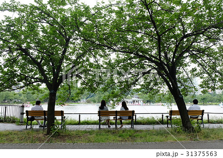 昼下がりの公園 31375563