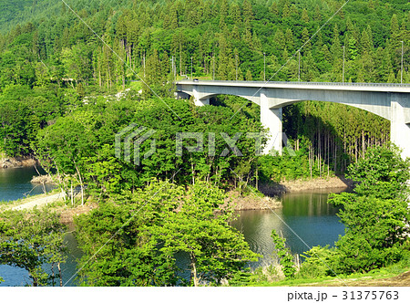 新緑の津軽白神湖（美山湖、津軽ダム） 31375763