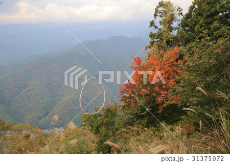 fall season at kyoto fall season at kyoto 31375972