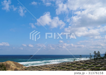 鳥取砂丘の海 31376158