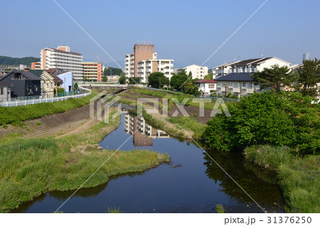浅川の初夏はこんな感じ　八王子市　 31376250