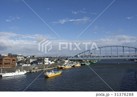 浦安市 6月 夕方 31376288