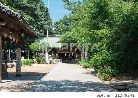 乃木神社 乃木神社 31376548