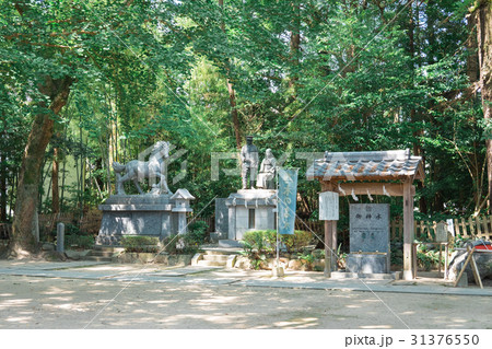 乃木神社 31376550