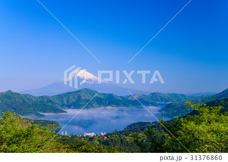 箱根大観山から、雲海の芦ノ湖と富士山 31376860