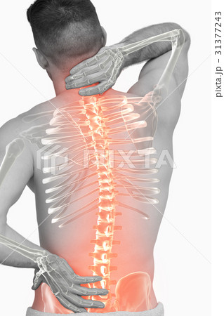 Digital composite of highlighted spine of man Digital composite of highlighted spine of man 31377243