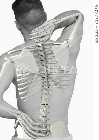 Digital composite of highlighted spine of man Digital composite of highlighted spine of man 31377245