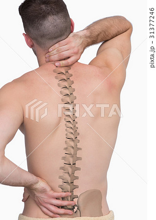 Digital composite of highlighted spine of man  31377246