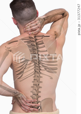 Digital composite of highlighted spine of man 31377247