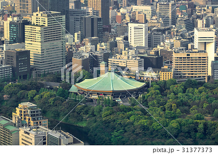 聖地 日本武道館 31377373