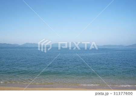 竹居岬の海岸 竹居岬の海岸 31377600