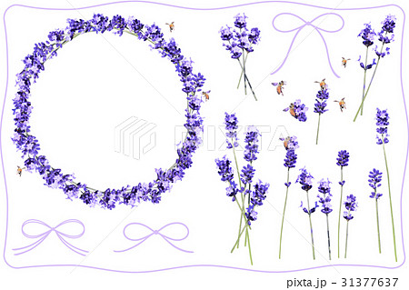 ラベンダーリースとミツバチ コラージュのイラスト素材