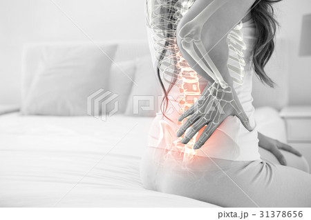 Digital composite of highlighted spine of woman Digital composite of highlighted spine of woman 31378656