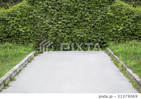 Dead End Road 31379069