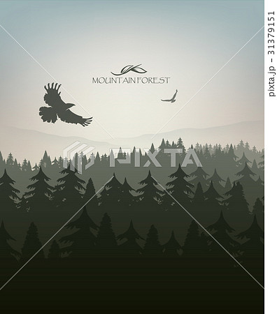 mountain forest in fog and eagle 31379151