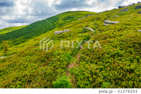 footpath through the mountain ridge footpath through the mountain ridge 31379203
